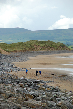 Eire0416w