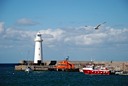 Donaghadee Harbor